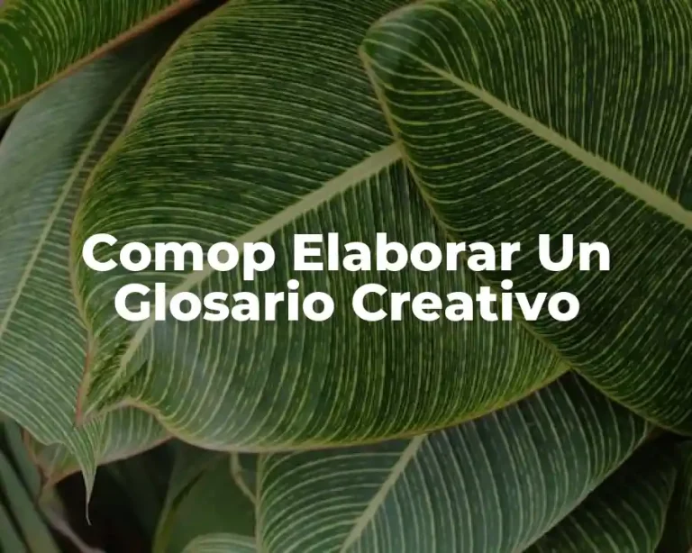 Comop Elaborar Un Glosario Creativo