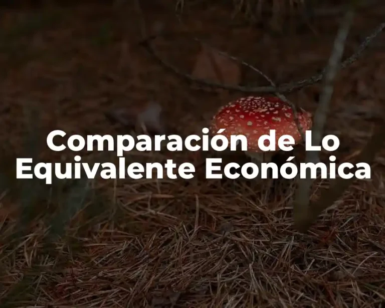 Comparación de Lo Equivalente Económica