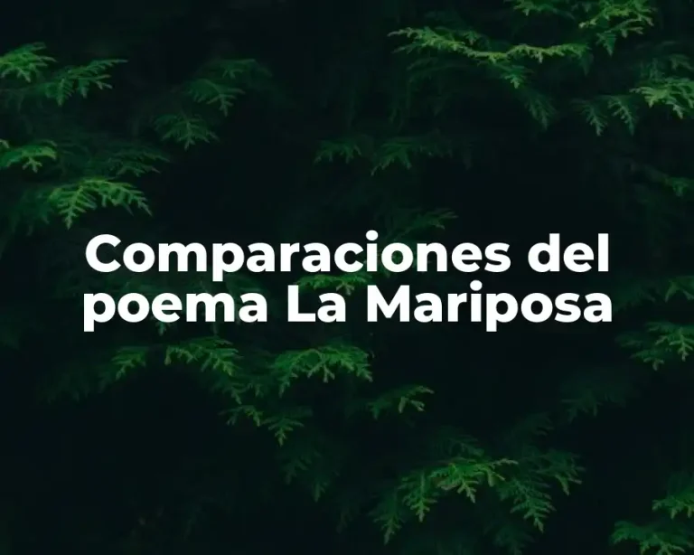 Comparaciones del poema La Mariposa