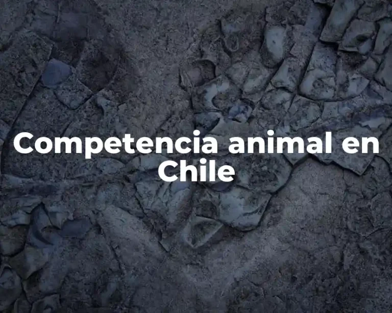 Competencia animal en Chile