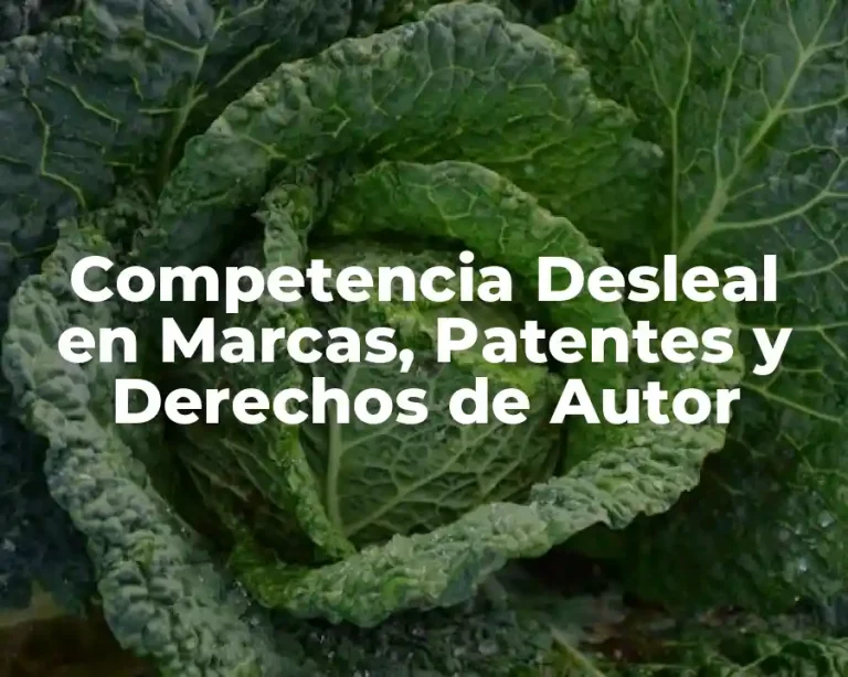 Competencia Desleal en Marcas, Patentes y Derechos de Autor