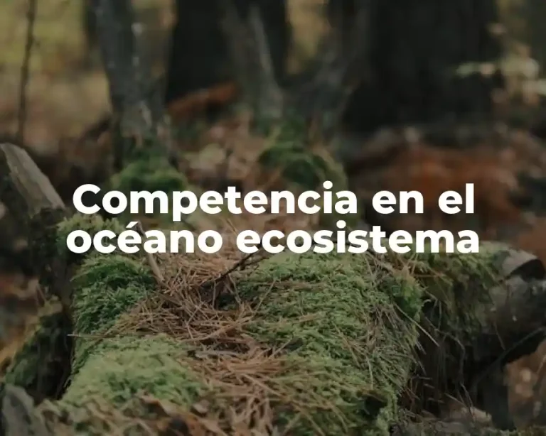 Competencia en el océano ecosistema