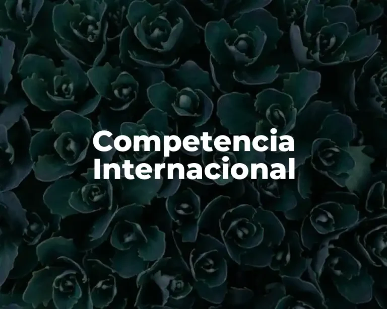 Competencia Internacional