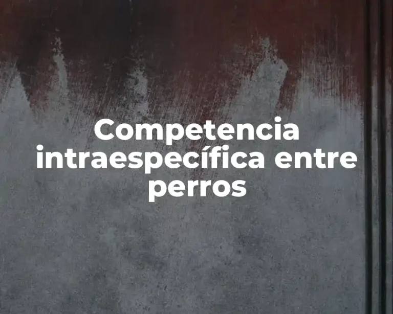 Competencia intraespecífica entre perros