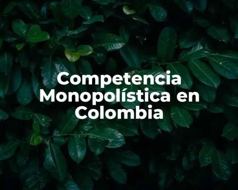 Competencia Monopolística en Colombia