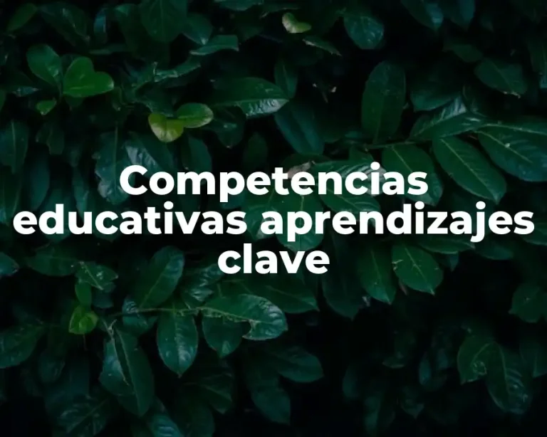 Competencias educativas aprendizajes clave