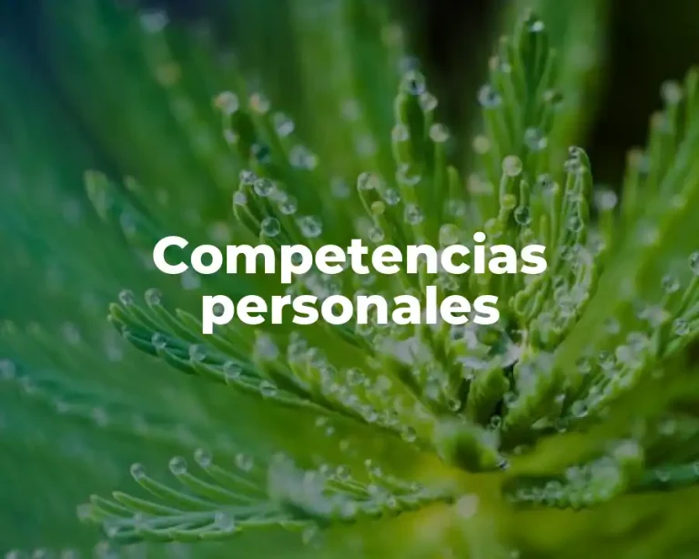 Competencias personales