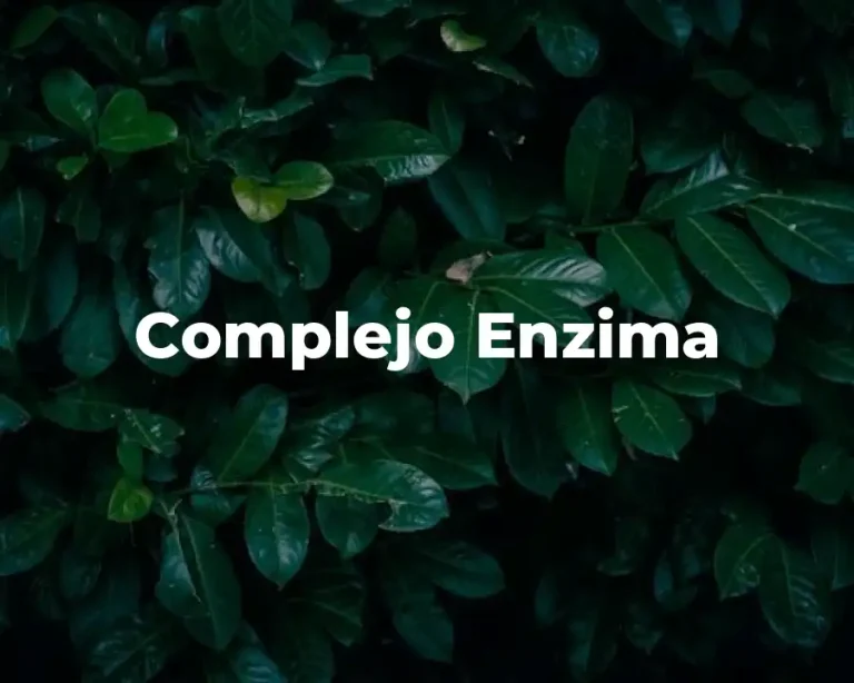 Complejo Enzima