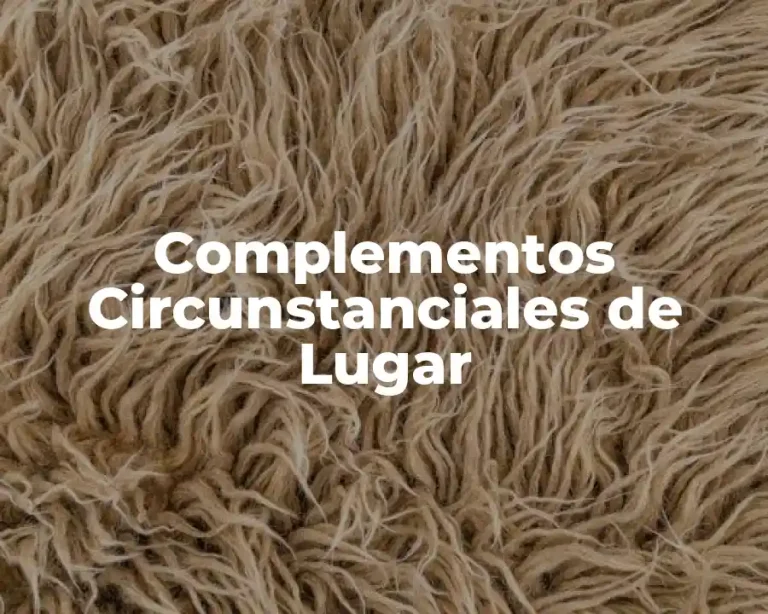 Complementos Circunstanciales de Lugar
