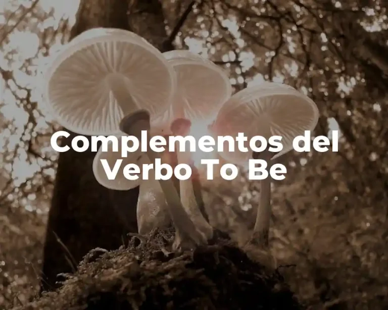 Complementos del Verbo To Be