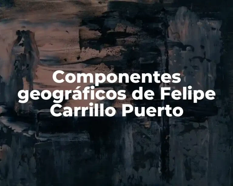Componentes geográficos de Felipe Carrillo Puerto