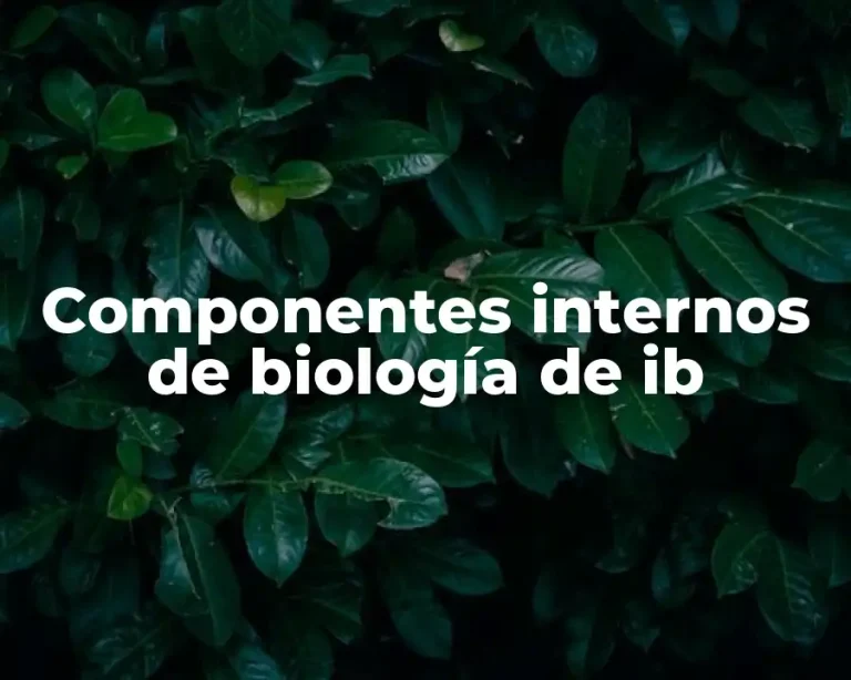 Componentes internos de biología de ib