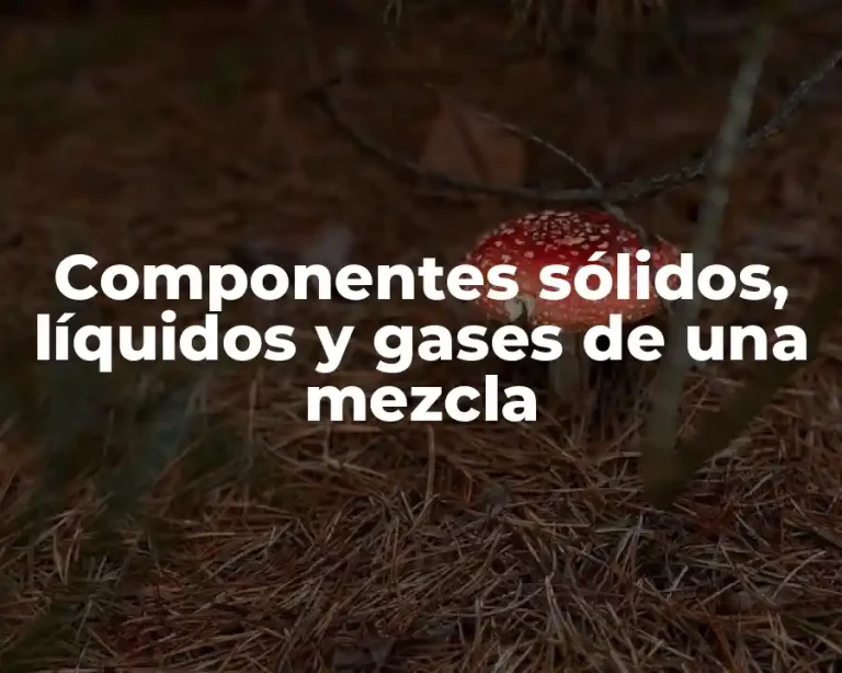 Componentes sólidos, líquidos y gases de una mezcla