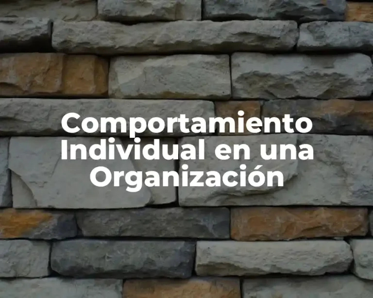 Comportamiento Individual en una Organización