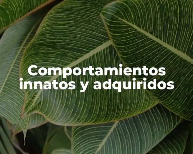 Comportamientos innatos y adquiridos