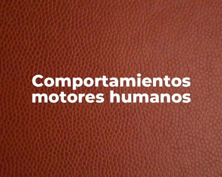 Comportamientos motores humanos