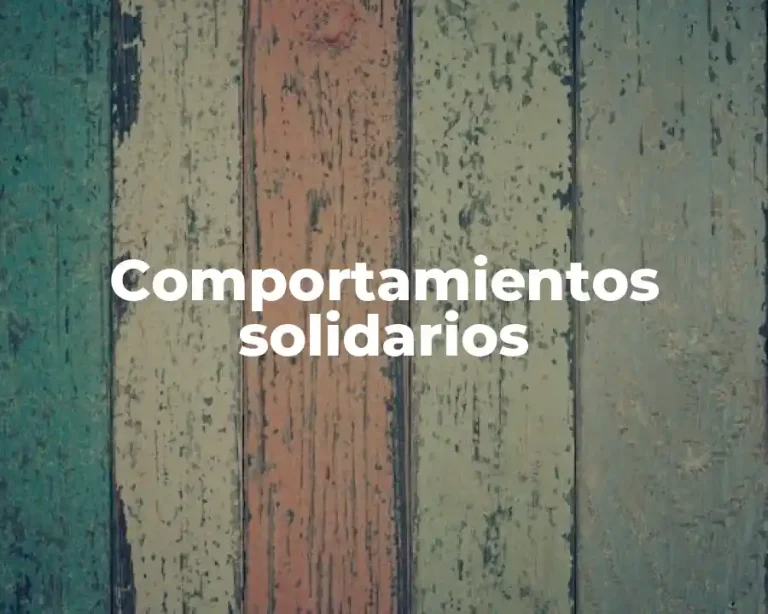 Comportamientos solidarios