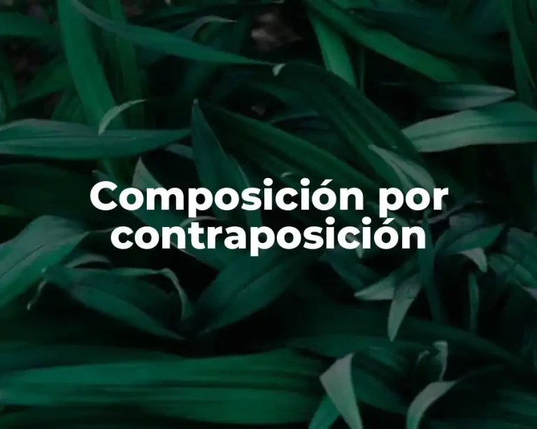 Composición por contraposición
