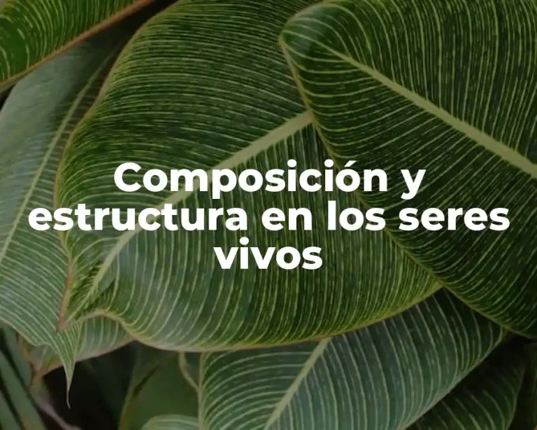 Composición y estructura en los seres vivos