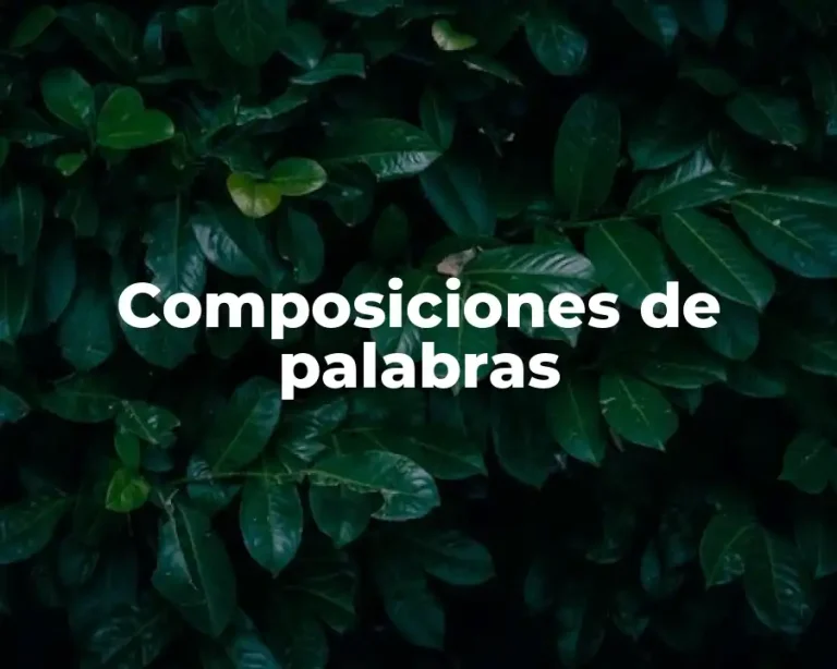 Composiciones de palabras