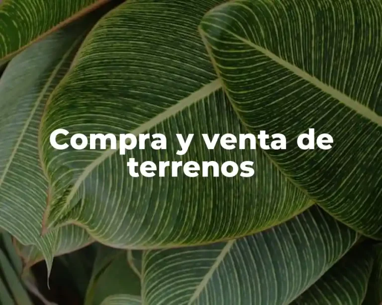 Compra y venta de terrenos