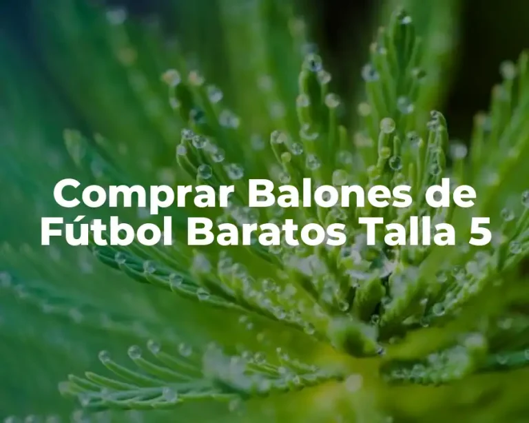 Comprar Balones de Fútbol Baratos Talla 5