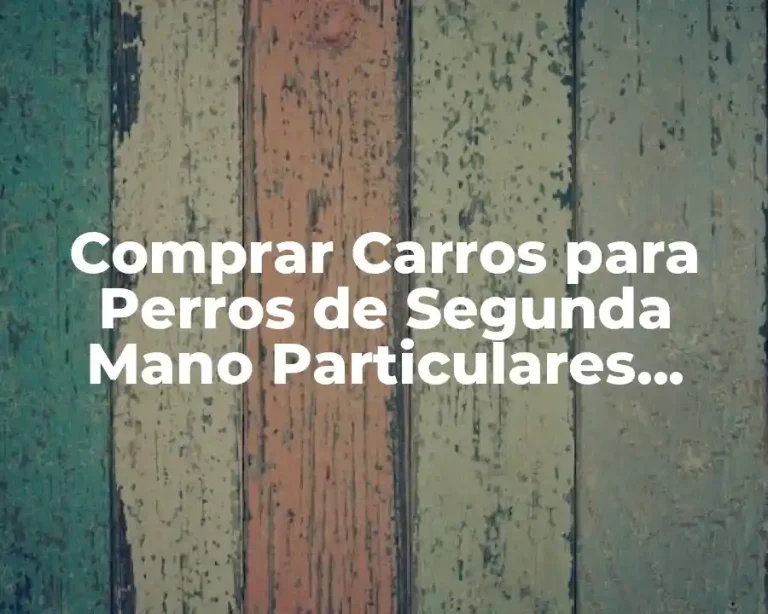 Comprar Carros para Perros de Segunda Mano Particulares Cerca de Madrid