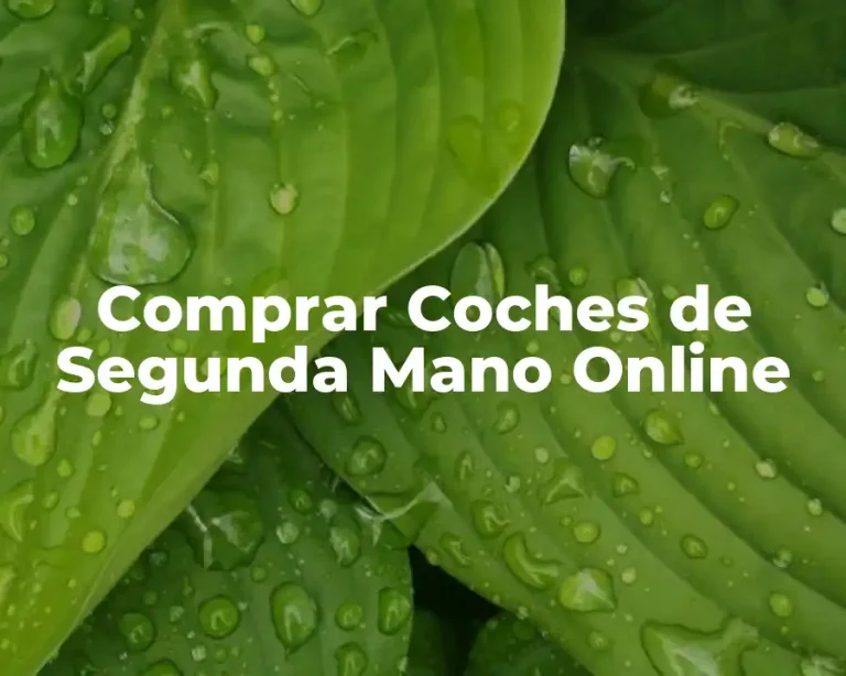Comprar Coches de Segunda Mano Online