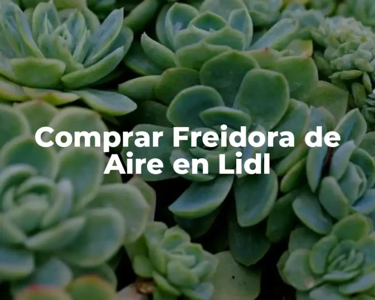 Comprar Freidora de Aire en Lidl
