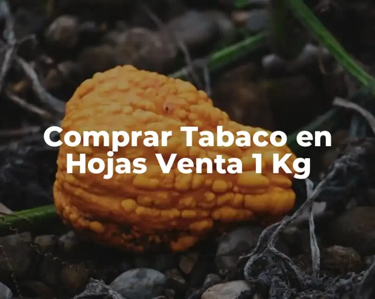 Comprar Tabaco en Hojas Venta 1 Kg