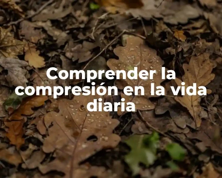 Comprender la compresión en la vida diaria