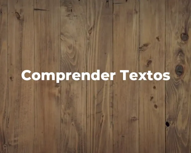 Comprender Textos