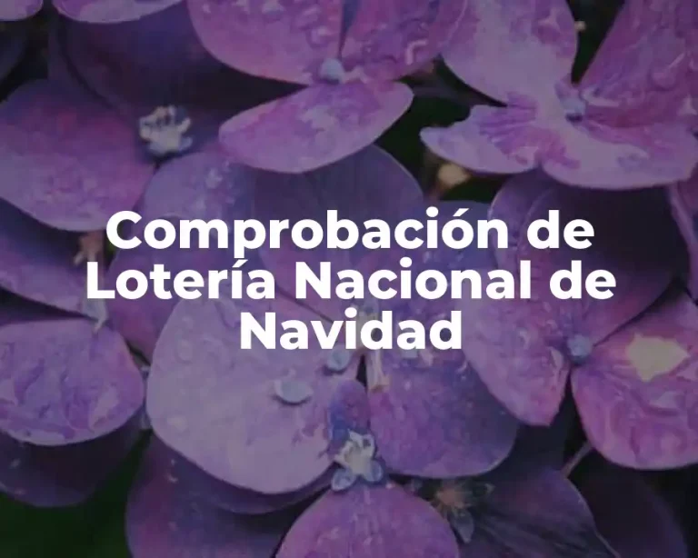 Comprobación de Lotería Nacional de Navidad