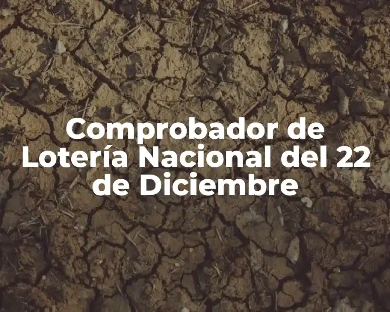 Comprobador de Lotería Nacional del 22 de Diciembre