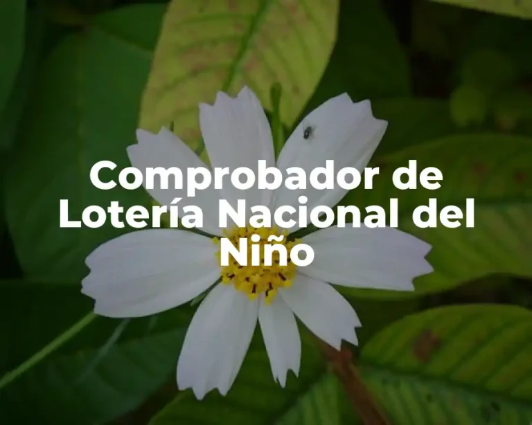 Comprobador de Lotería Nacional del Niño