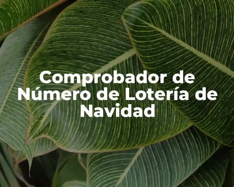 Comprobador de Número de Lotería de Navidad