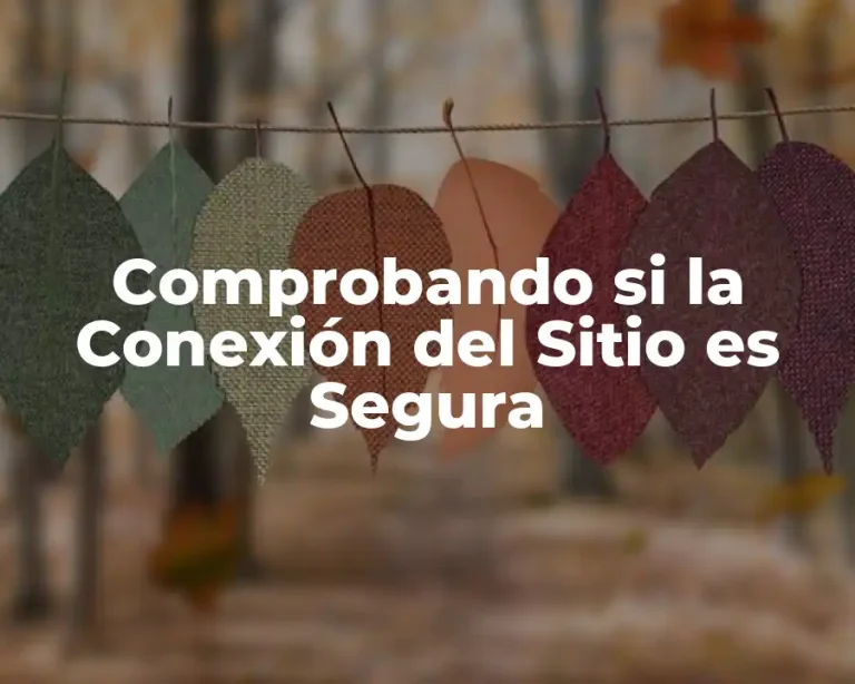 Comprobando si la Conexión del Sitio es Segura