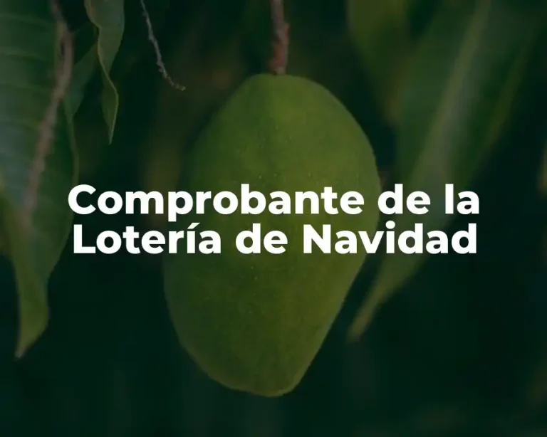 Comprobante de la Lotería de Navidad