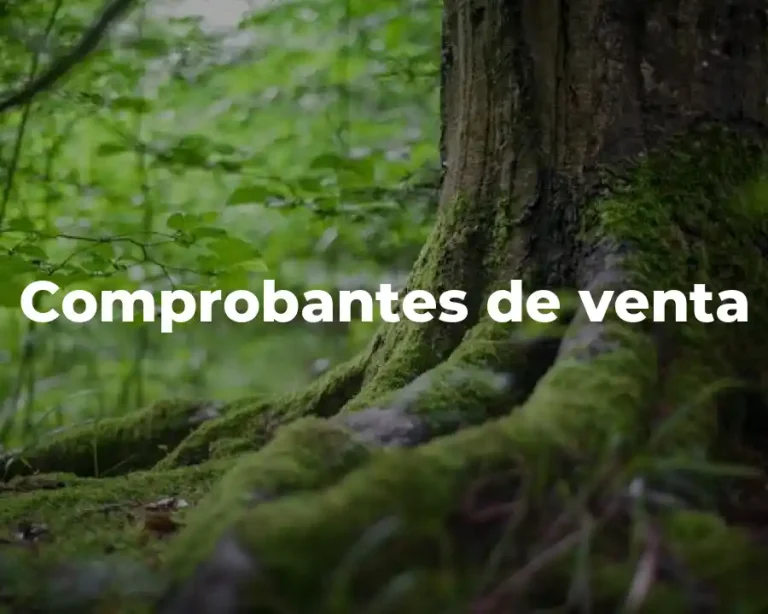 Comprobantes de venta