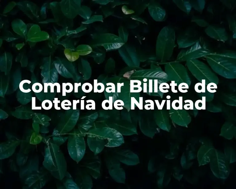 Comprobar Billete de Lotería de Navidad