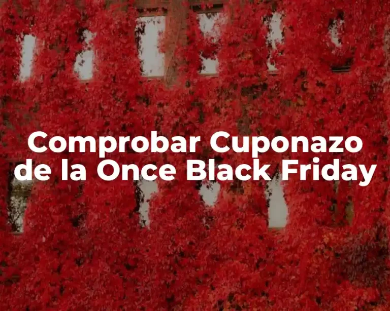 Comprobar Cuponazo de la Once Black Friday