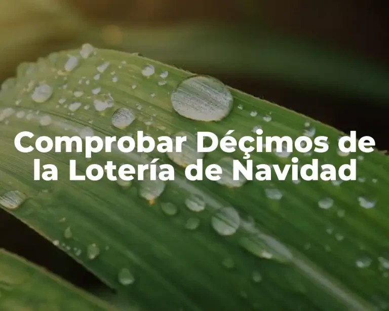 Comprobar Déçimos de la Lotería de Navidad