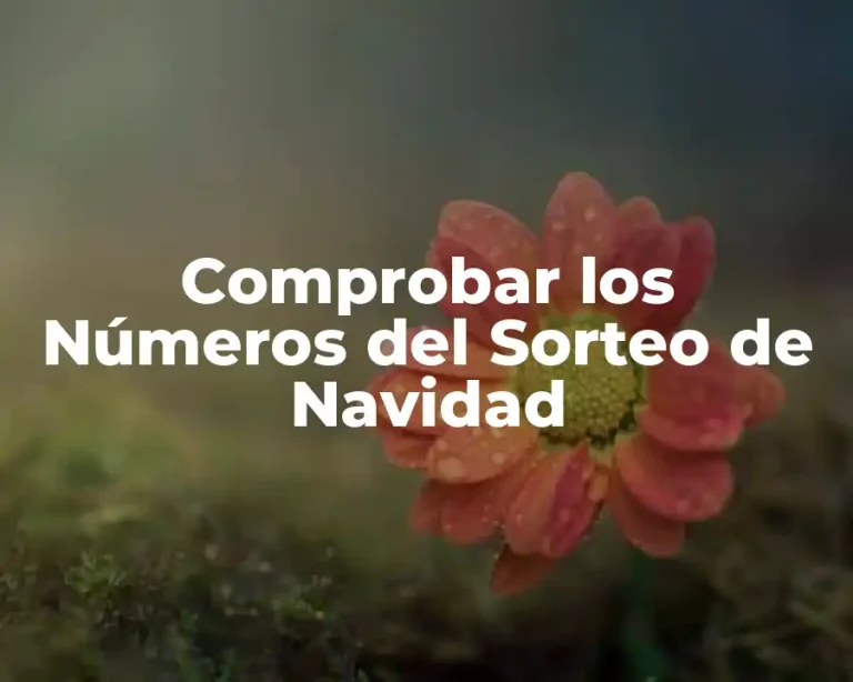 Comprobar los Números del Sorteo de Navidad