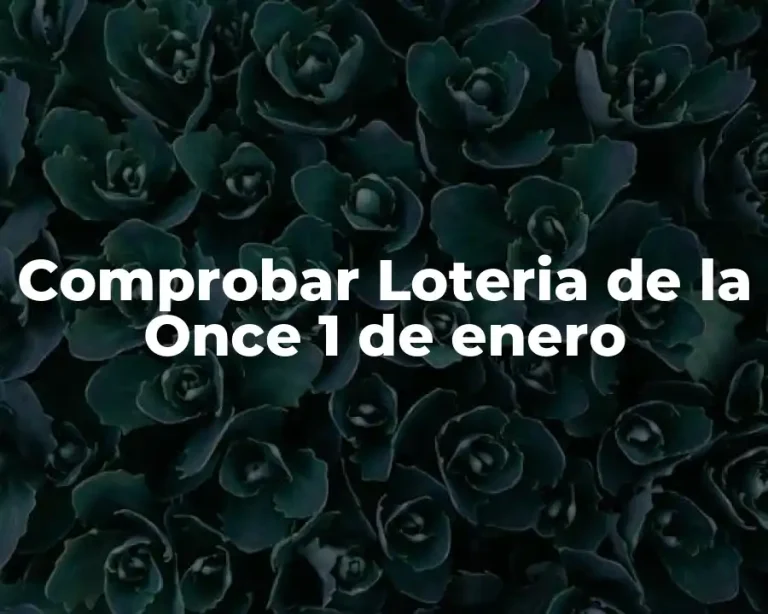 Comprobar Loteria de la Once 1 de enero