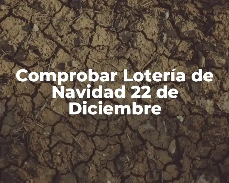 Comprobar Lotería de Navidad 22 de Diciembre