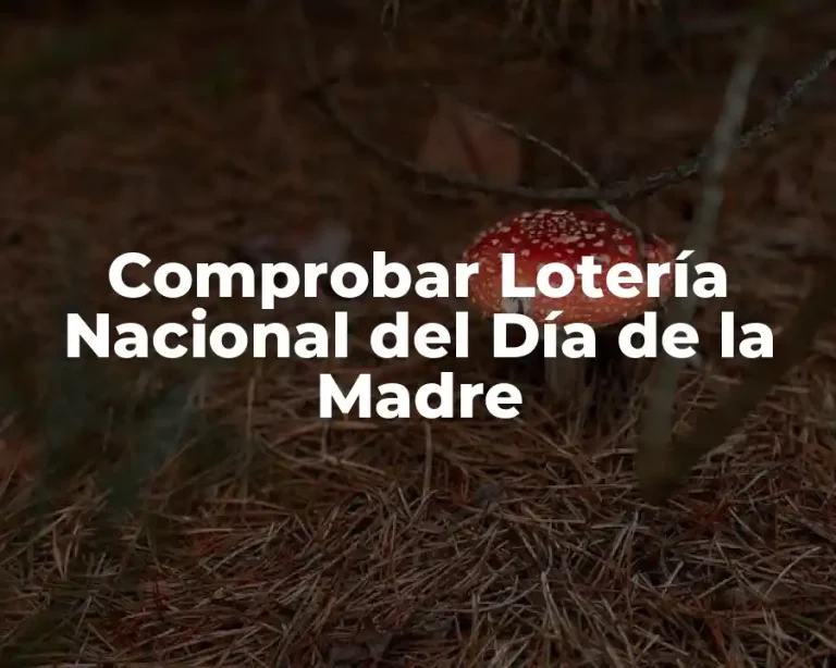 Comprobar Lotería Nacional del Día de la Madre