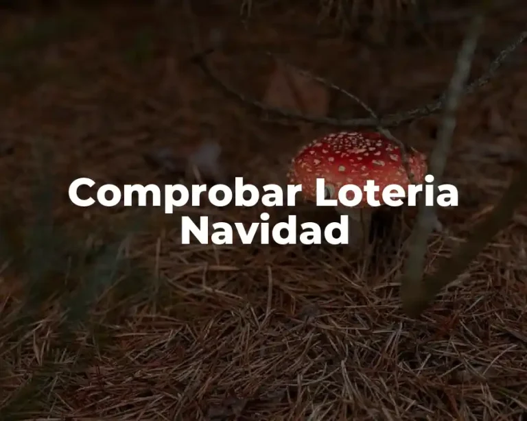 Comprobar Loteria Navidad