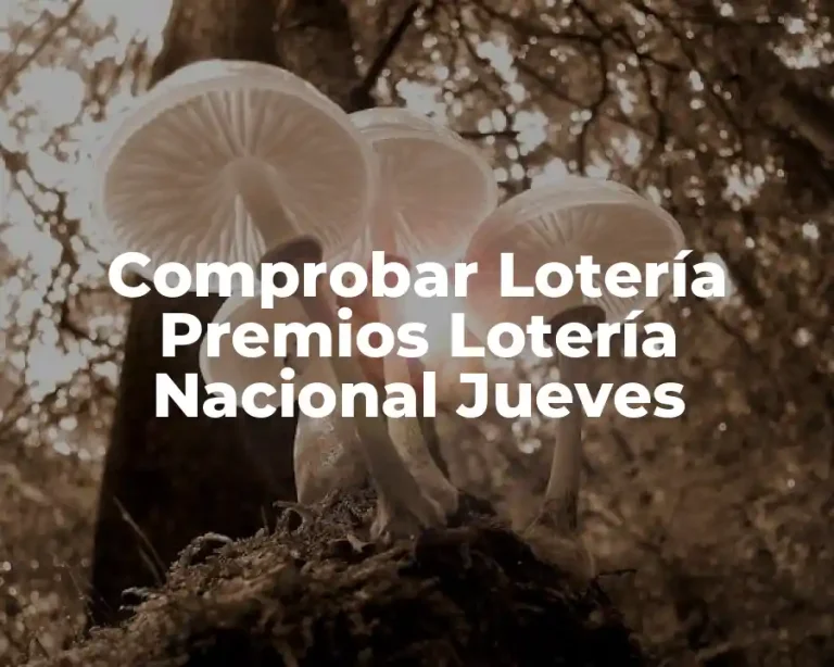 Comprobar Lotería Premios Lotería Nacional Jueves