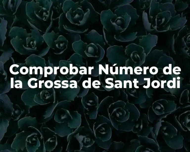 Comprobar Número de la Grossa de Sant Jordi