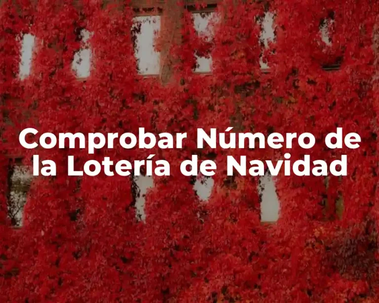 Comprobar Número de la Lotería de Navidad